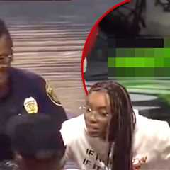 WNBA Game Delayed Over Flying Sex Toy