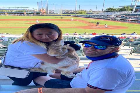 Alex the Great, sports’ cherished therapy bunny, dead after cancer battle