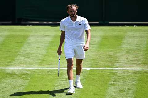 ATP Washington: Daniil Medvedev vs. Reilly Opelka odds, picks, and prediction