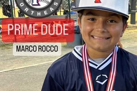 Suspended NJ Little League bat flipper can play in state championship game, judge rules