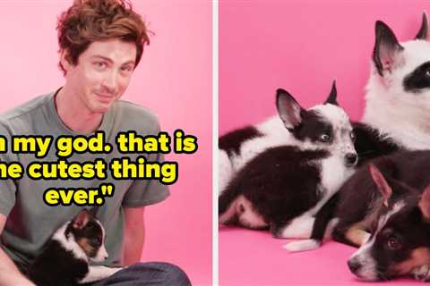 Logan Lerman Just Did The Puppy Interview, And It's Extremely Wholesome
