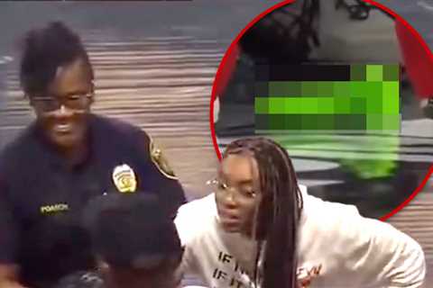 WNBA Game Delayed Over Flying Sex Toy