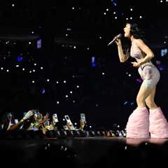 Katy Perry Fan Collapses on Stage During Lifetimes Tour Stop in Detroit