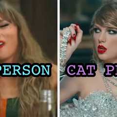 I Know If You're A Cat Or Dog Person Based On The Taylor Swift Songs You Pick!