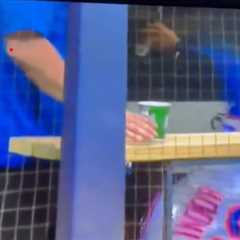 Francisco Lindor throws dugout tantrum after costly error in Mets’ loss