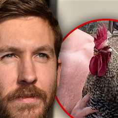 Calvin Harris Says His Rooster Was Killed by 'Idiot' Neighbor's Dog