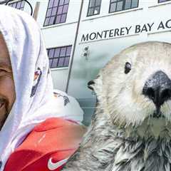 Travis Kelce Gets Famed Aquarium Invite After Sea Otter Love Confession