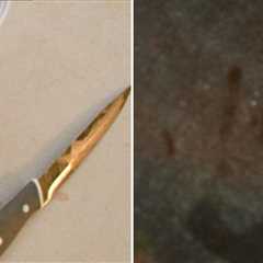 Bryan Kohberger's Murderous Crime Scene, See The Photos