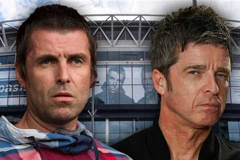 Oasis 'Shocked and Saddened' After Man Dies in Fall at London Concert