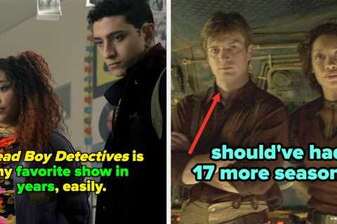 29 Incredible TV Shows That Had Zero Business Being Canceled After One Season