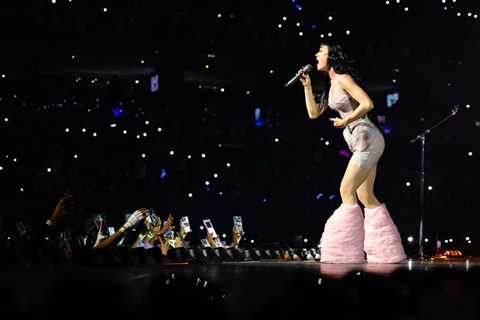 Katy Perry Fan Collapses on Stage During Lifetimes Tour Stop in Detroit