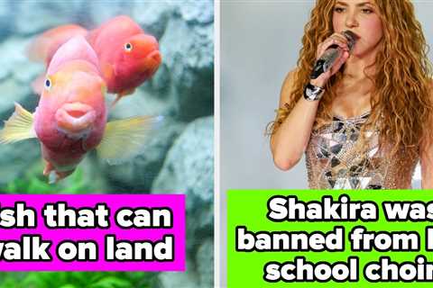 53 Of The Most Random Facts I've Ever Heard In My 35 Years Of Life On This Earth