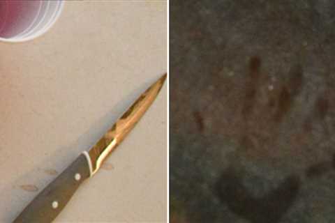Bryan Kohberger's Murderous Crime Scene, See The Photos