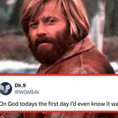 People Are Learning The Surprising Truth About One Of The Internet's Most Used GIFs