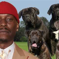 Tyrese Fully Cooperating With Cops After His Mastiff Kills Neighbor's Dog