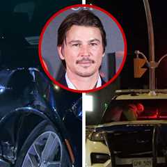 Josh Hartnett's Car Crash With Police, See All the Wreckage!