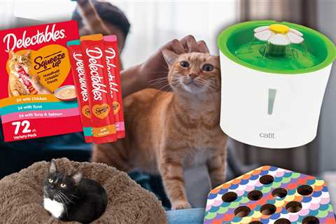 Amazon Cat Week Deals to Spoil Your Feline Friend