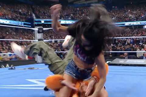 AJ Lee makes stunning WWE return with CM Punk a decade after retiring