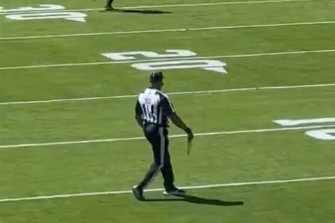 Sex toy thrown onto field during Browns-Bengals season opener