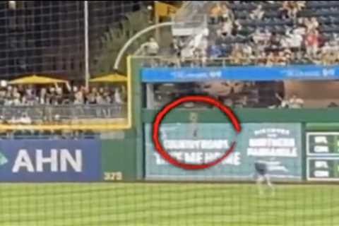 Fan who fell more than 20 feet during Pirates game reflects on harrowing incident: ‘Don’t know how..