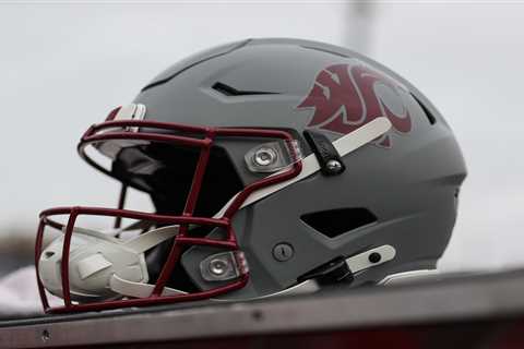 Washington State lineman Sone Falealo shot at apartment party over weekend
