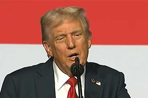 Donald Trump Says There Are 2 'N-Words' You Can't Use