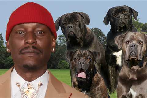 Tyrese Fully Cooperating With Cops After His Mastiff Kills Neighbor's Dog