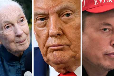 Jane Goodall Called Out Trump And Elon Musk In A Posthumously Aired Interview, And It's Going Viral