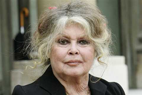 Brigitte Bardot Reportedly Hospitalized for Weeks Amid 'Serious Illness'