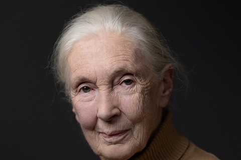 Jane Goodall Cause of Death Revealed