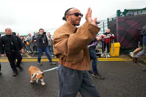Lewis Hamilton mourns beloved dog ahead of Mexico’s Day of the Dead