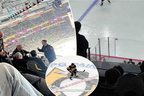 Fan hospitalized after falling from upper level during Penguins game