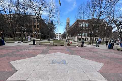 The Power of Associations in Promoting Diversity and Inclusion in Wayne County, Michigan