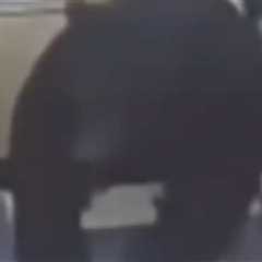 Bear Chases Boy Inside Pennsylvania Convenience Store, Caught on Camera