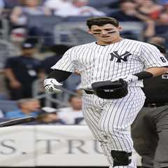 Tyler Austin signs MLB deal with Cubs after outstanding Japan stint