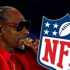 Snoop Dogg’s Netflix NFL Christmas Halftime Lauded Better Than Super Bowls