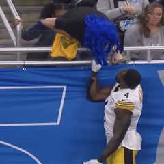 Assaulted Lions fan begs DK Metcalf to shut down alleged racist remarks with potential litigation..