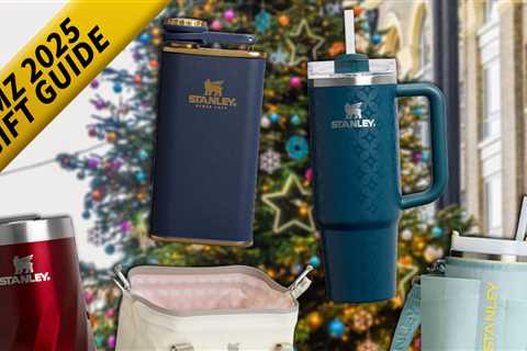 Holiday Gift Guide: Stanley Cups to Gift This Season!