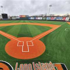 Long Island Ducks purchased by company connected with MLB’s Rangers