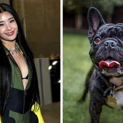 Your Dog Preferences Will Tell You Which KATSEYE Member You Are