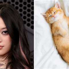 Your Cat Preferences Will Tell You Which KATSEYE Member You Are