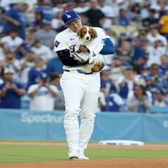 Massive Shohei Ohtani, Decoy mural crops up in Los Angeles