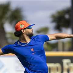 MJ Melendez ‘comfortable’ with outfield versatility after winter ball work in boost to Mets’ depth