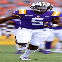 Devonta Lee, former receiver at LSU and Louisiana Tech, dead at 26