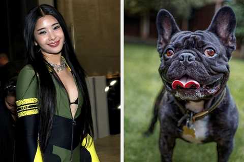 Your Dog Preferences Will Tell You Which KATSEYE Member You Are