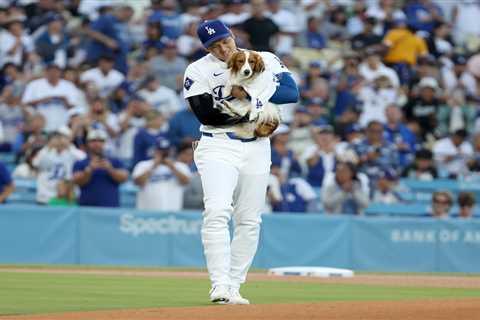 Massive Shohei Ohtani, Decoy mural crops up in Los Angeles