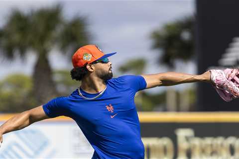MJ Melendez ‘comfortable’ with outfield versatility after winter ball work in boost to Mets’ depth
