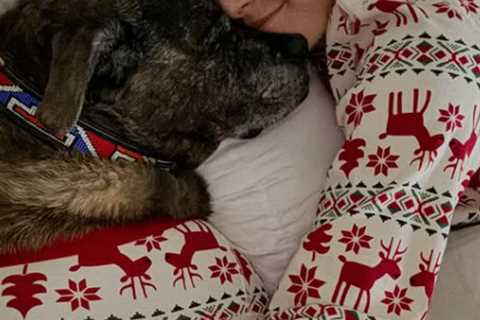 Lindsey Vonn reveals her dog died a day after her horrific Olympic crash in heartbreaking post: ‘My ..