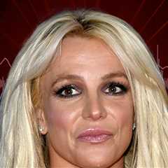 Britney Spears Dispatch Audio Alleges Car Was Swerving in Lanes, Listen