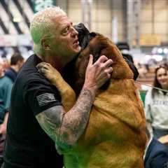 Pro wrestler Dustin Rhodes’ mastiff takes home prize at world’s largest dog show